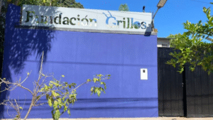 Lee más sobre el artículo Fundación Grillos inaugura nueva sede académica.